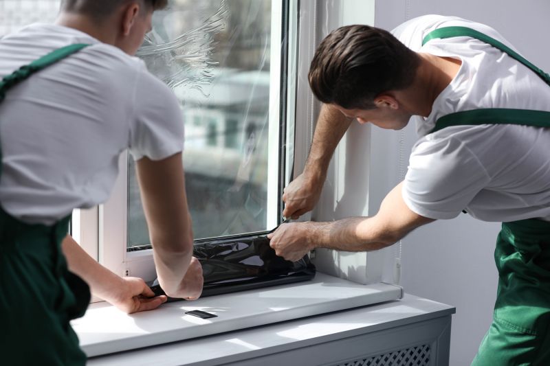 Privacy Window Tinting